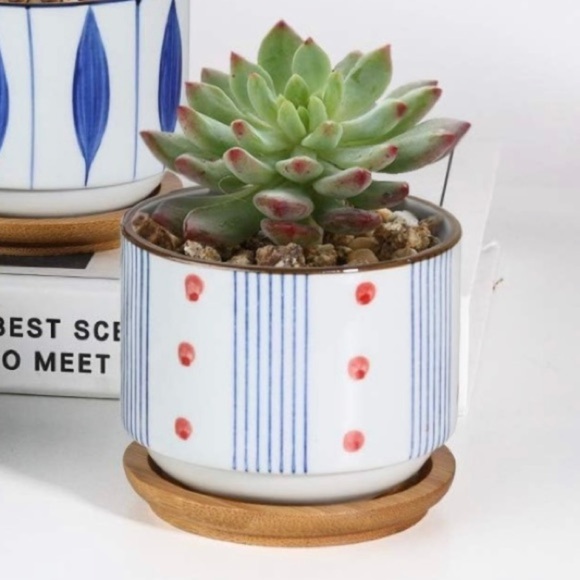 Glazed Ceramic Succulent Planter Pot - Picture 4 of 10
